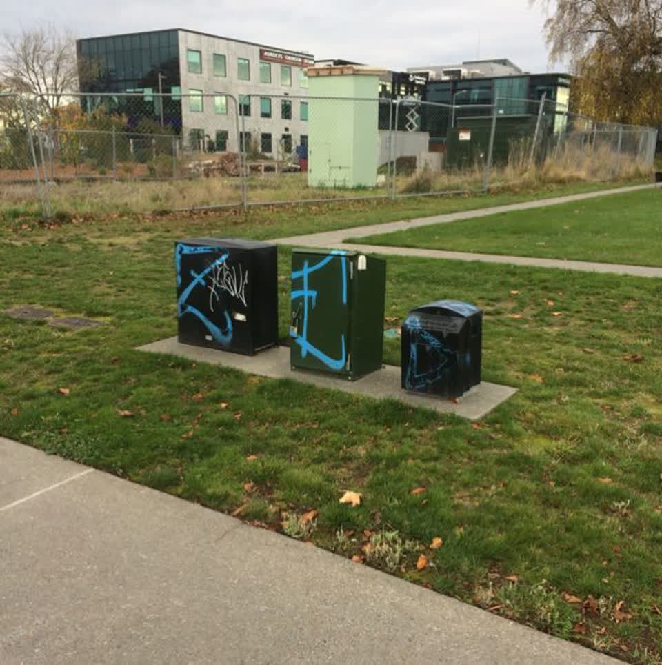 The photograph attached to this graffiti report
