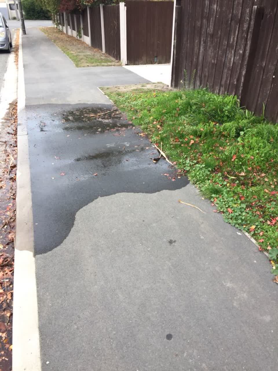 The photograph attached to this water supply report