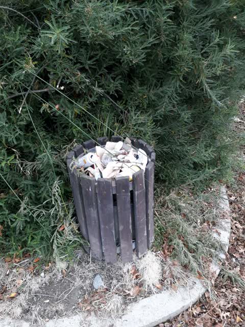Parks, a report photo
