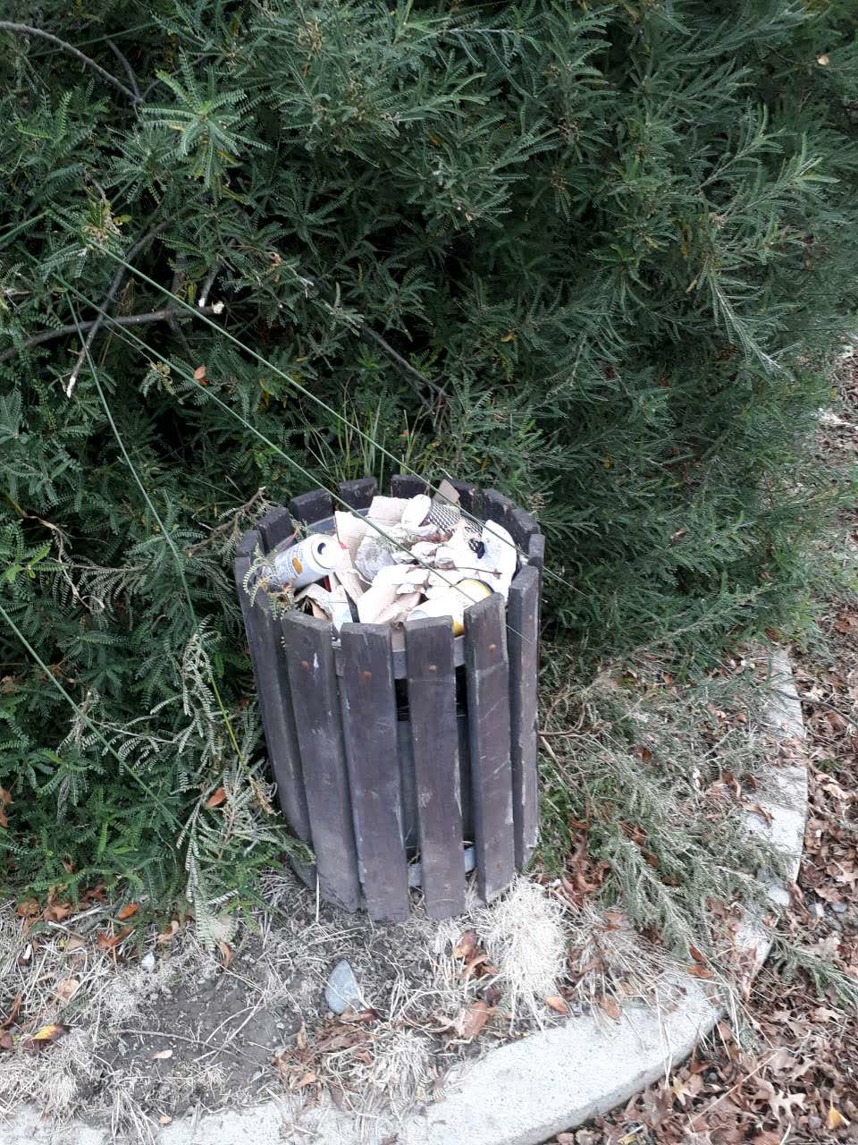 The photograph attached to this parks report