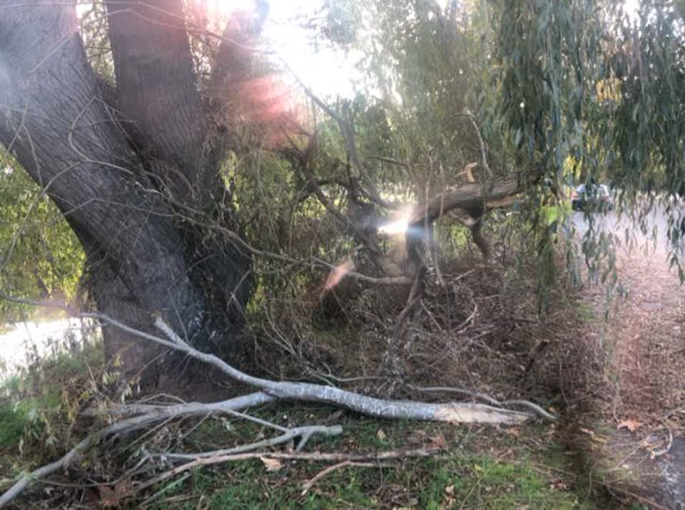 The photograph attached to this parks report