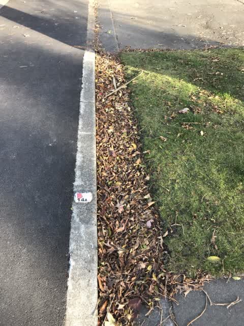 Roading/Streets, a report photo