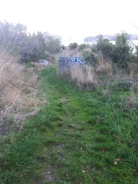 Graffiti — a report photo