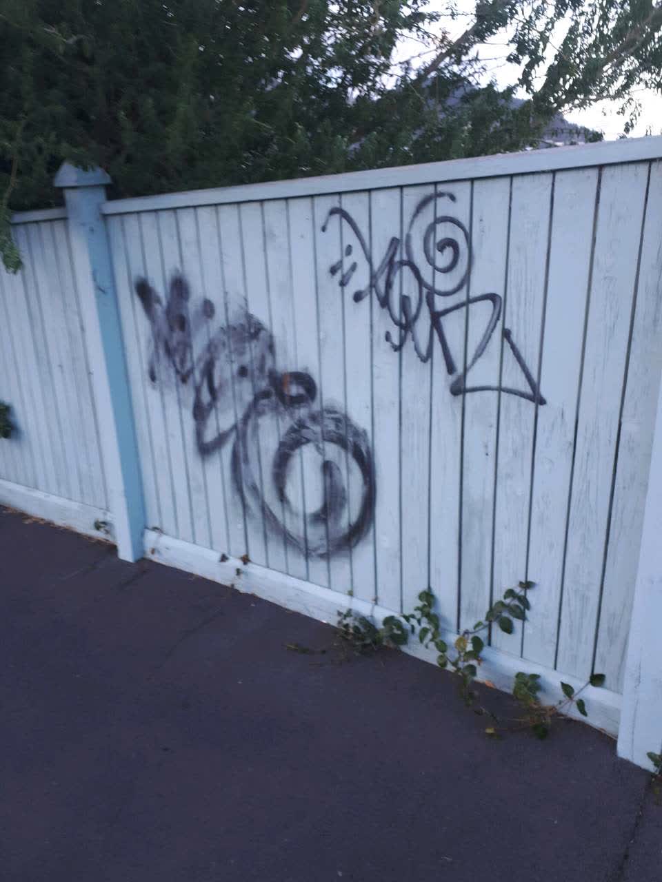 The photograph attached to this graffiti report