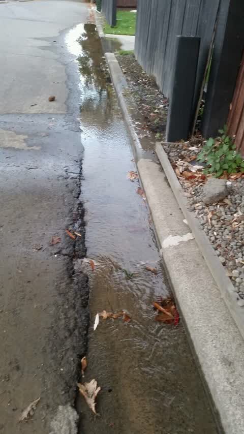 Flooding, a report photo