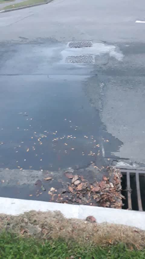 Wastewater/Stormwater, a report photo