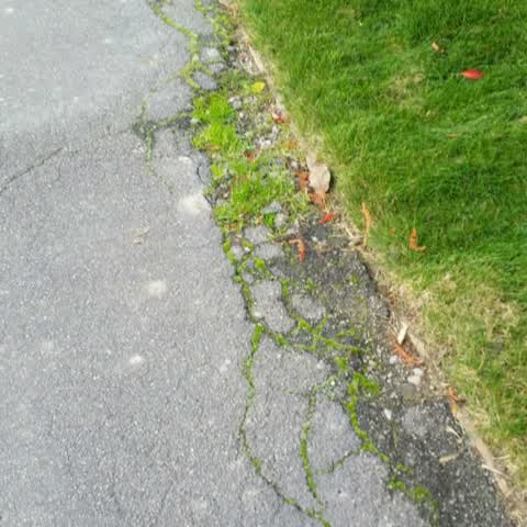 Roading/Streets, a report photo