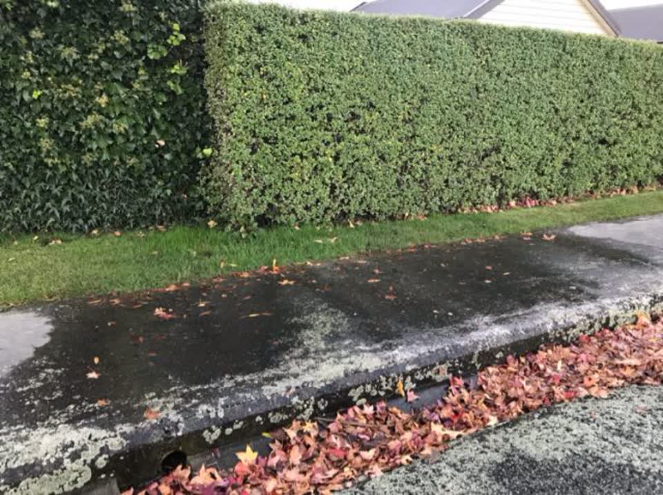 The photograph attached to this water supply report