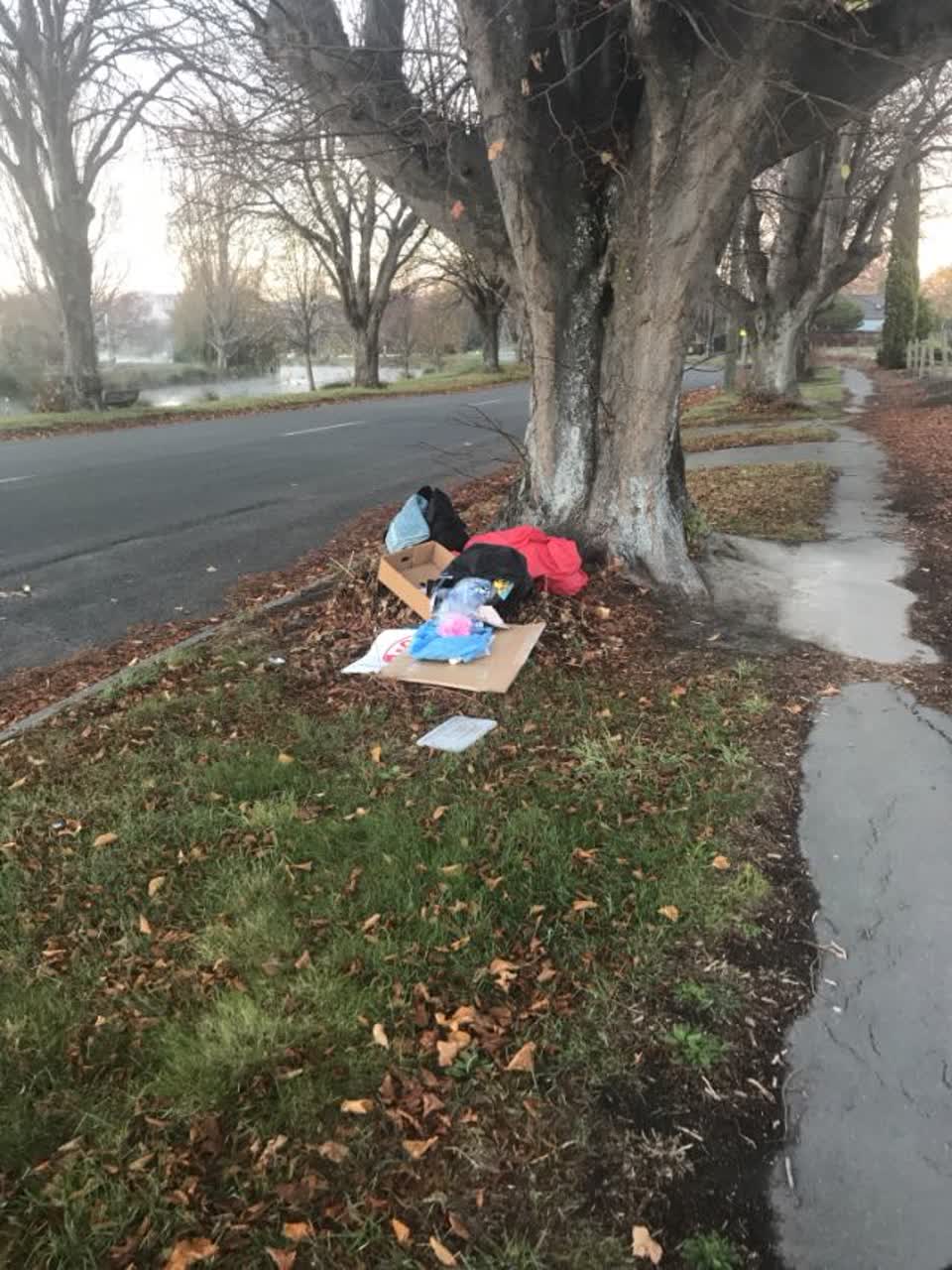 The photograph attached to this rubbish/recycling report