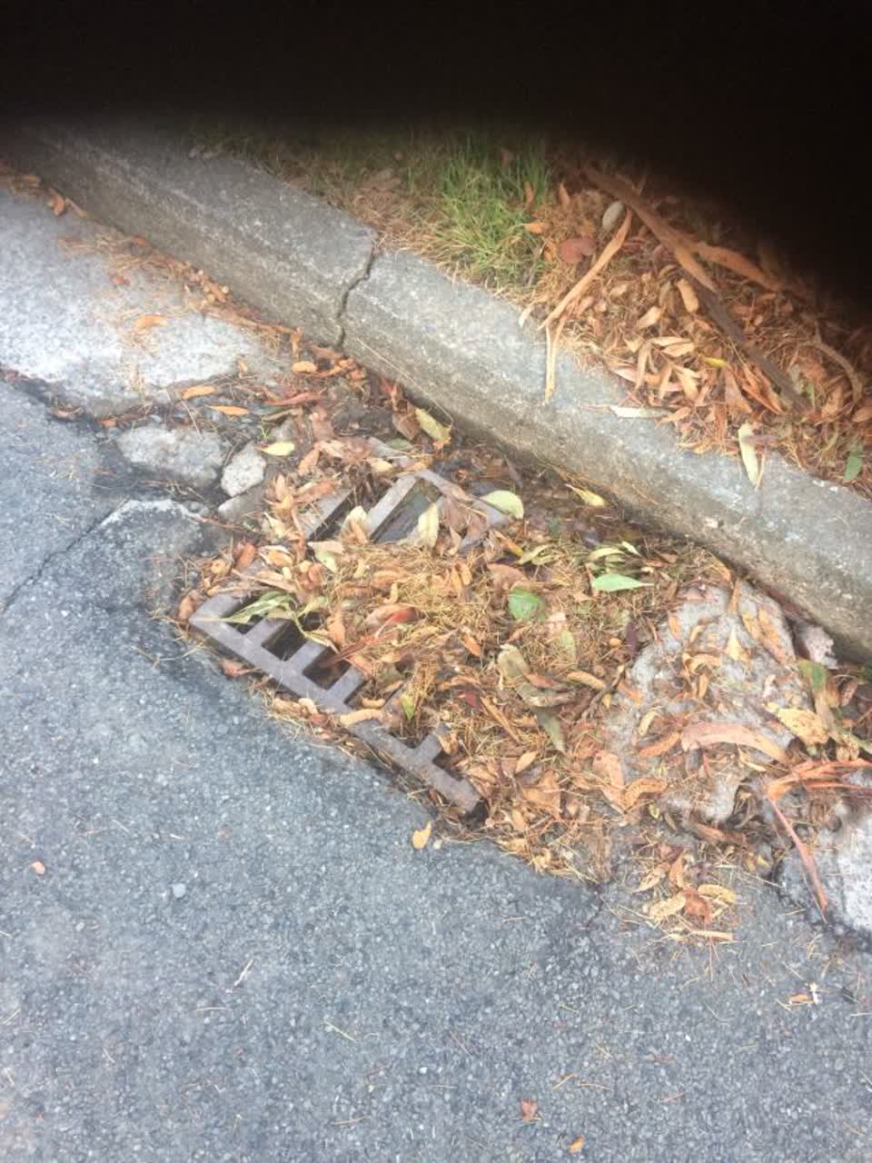 The photograph attached to this wastewater/stormwater report