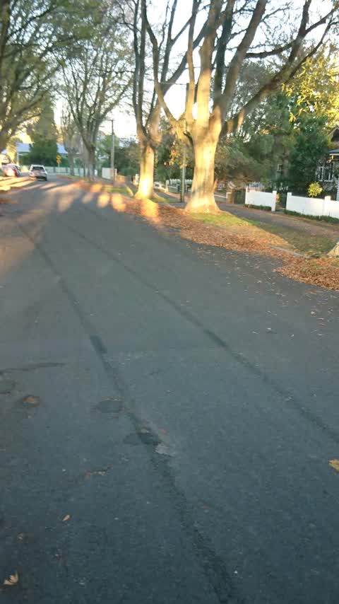 Roading/Streets, a report photo