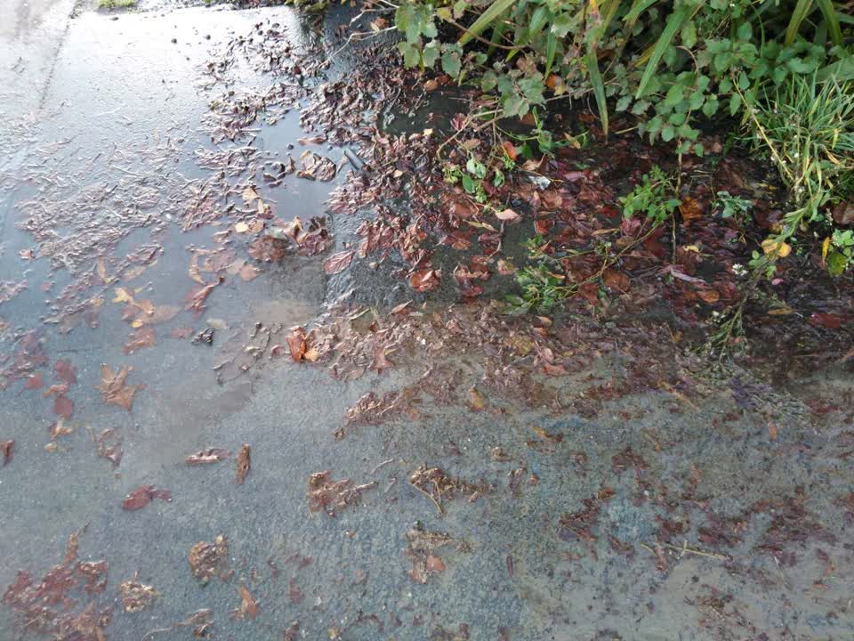 The photograph attached to this water supply report