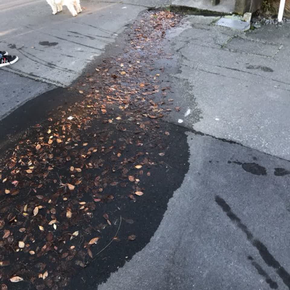 The photograph attached to this water supply report