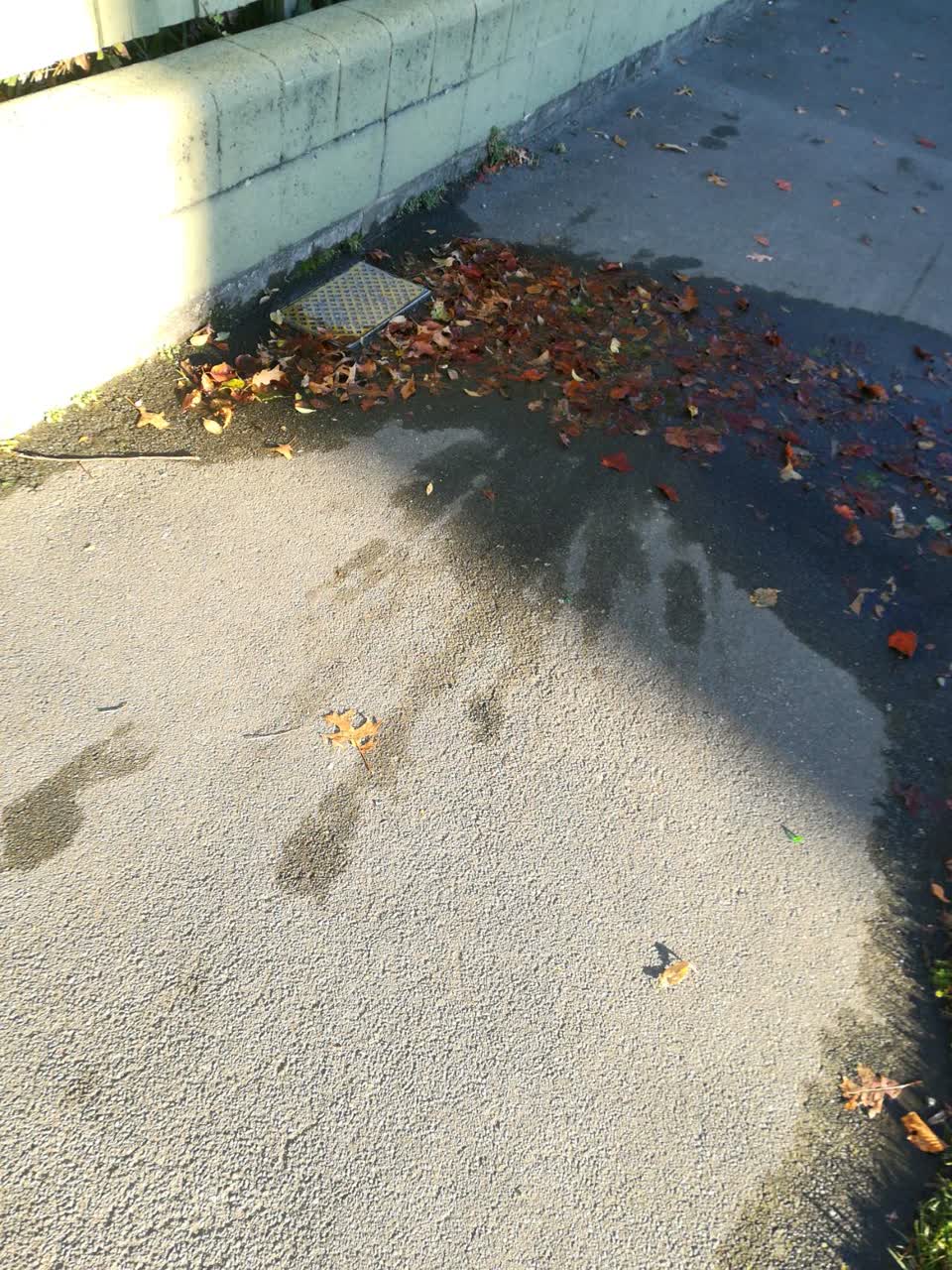The photograph attached to this water supply report