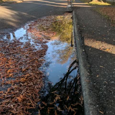 Flooding — a report photo