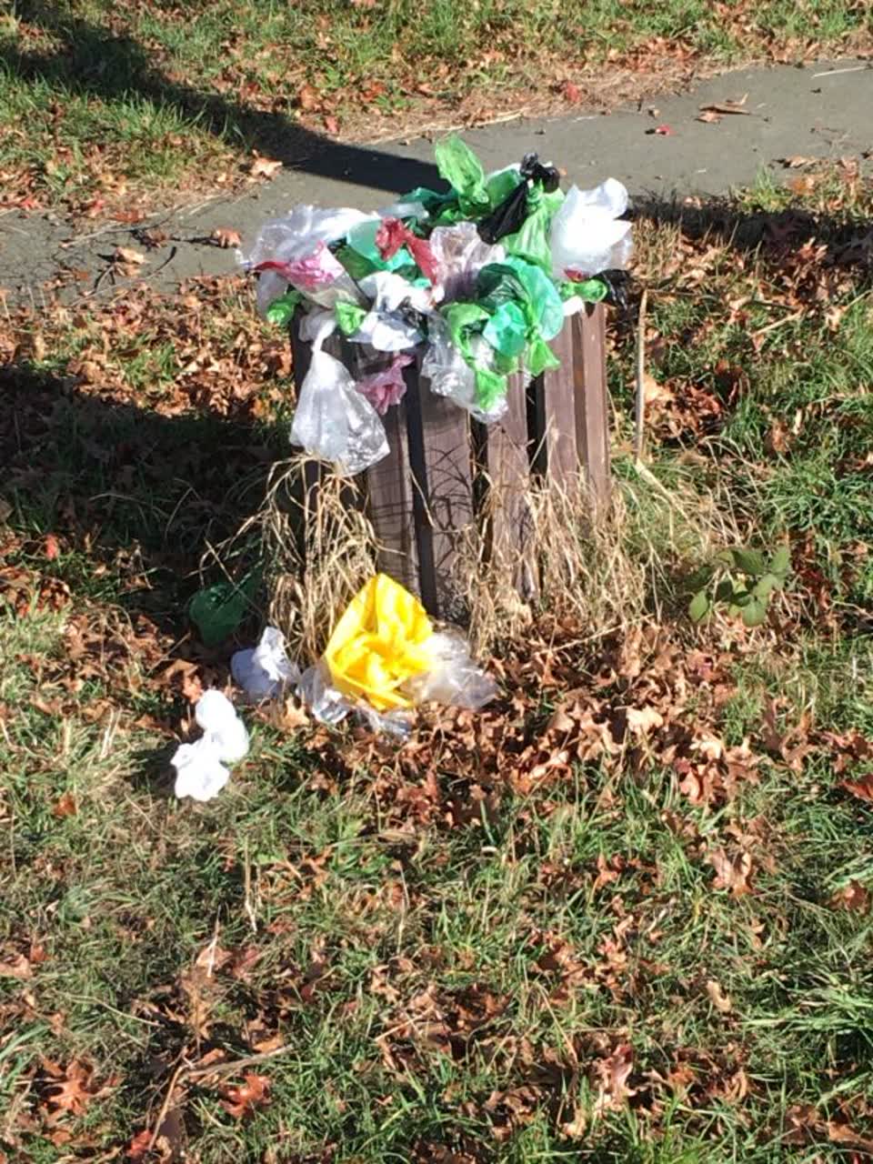 The photograph attached to this rubbish/recycling report
