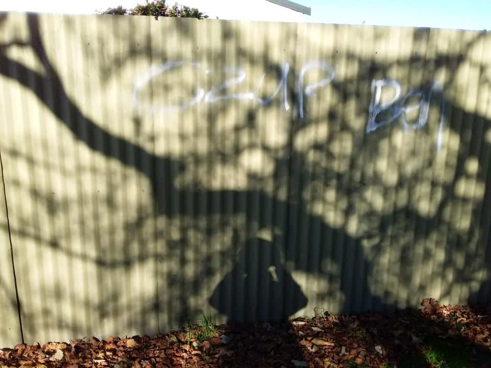 The photograph attached to this graffiti report