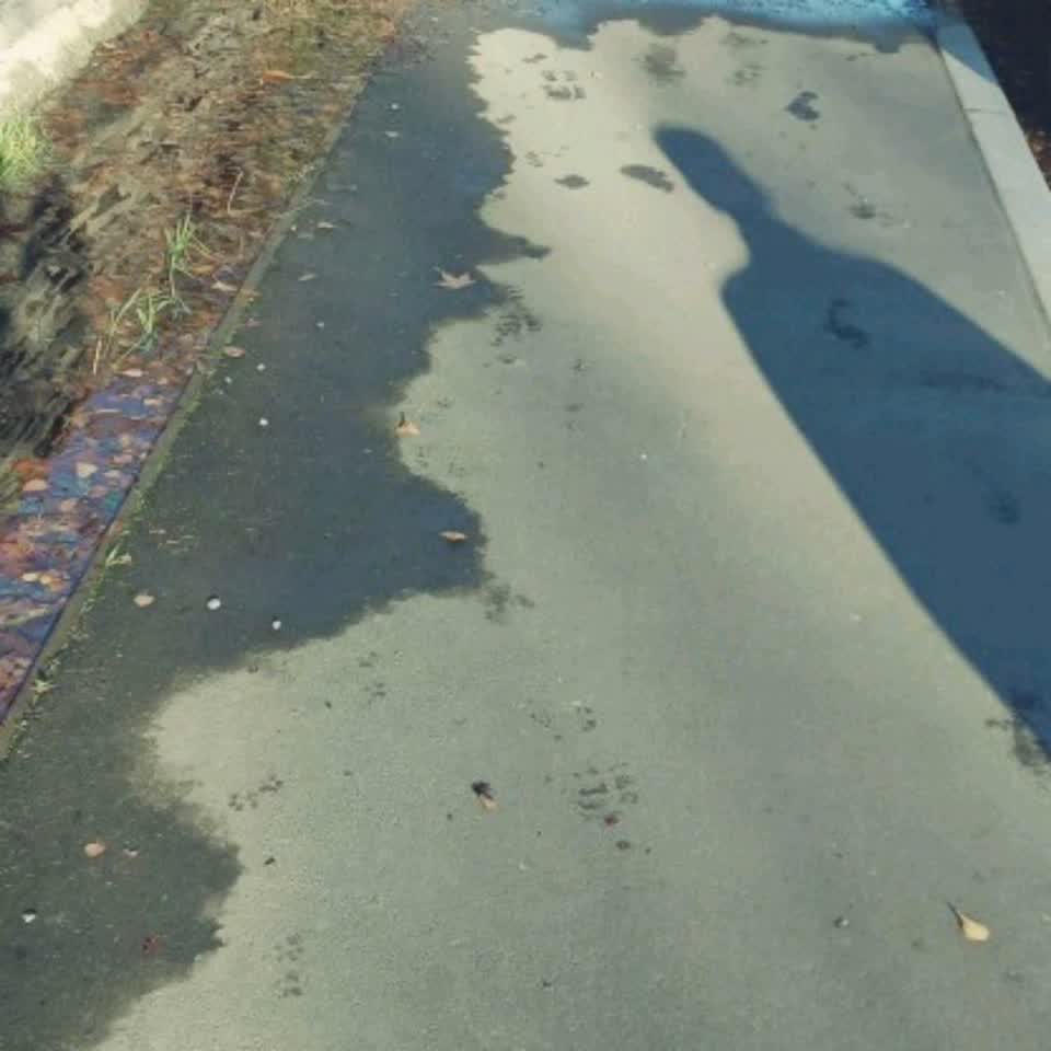 The photograph attached to this wastewater/stormwater report