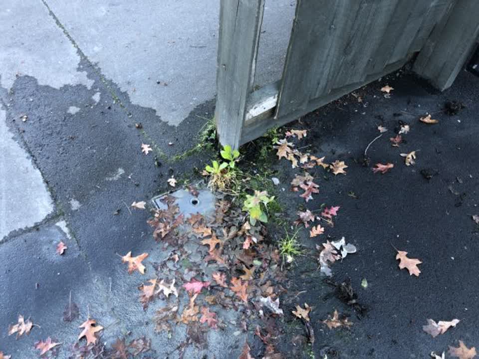 The photograph attached to this water supply report