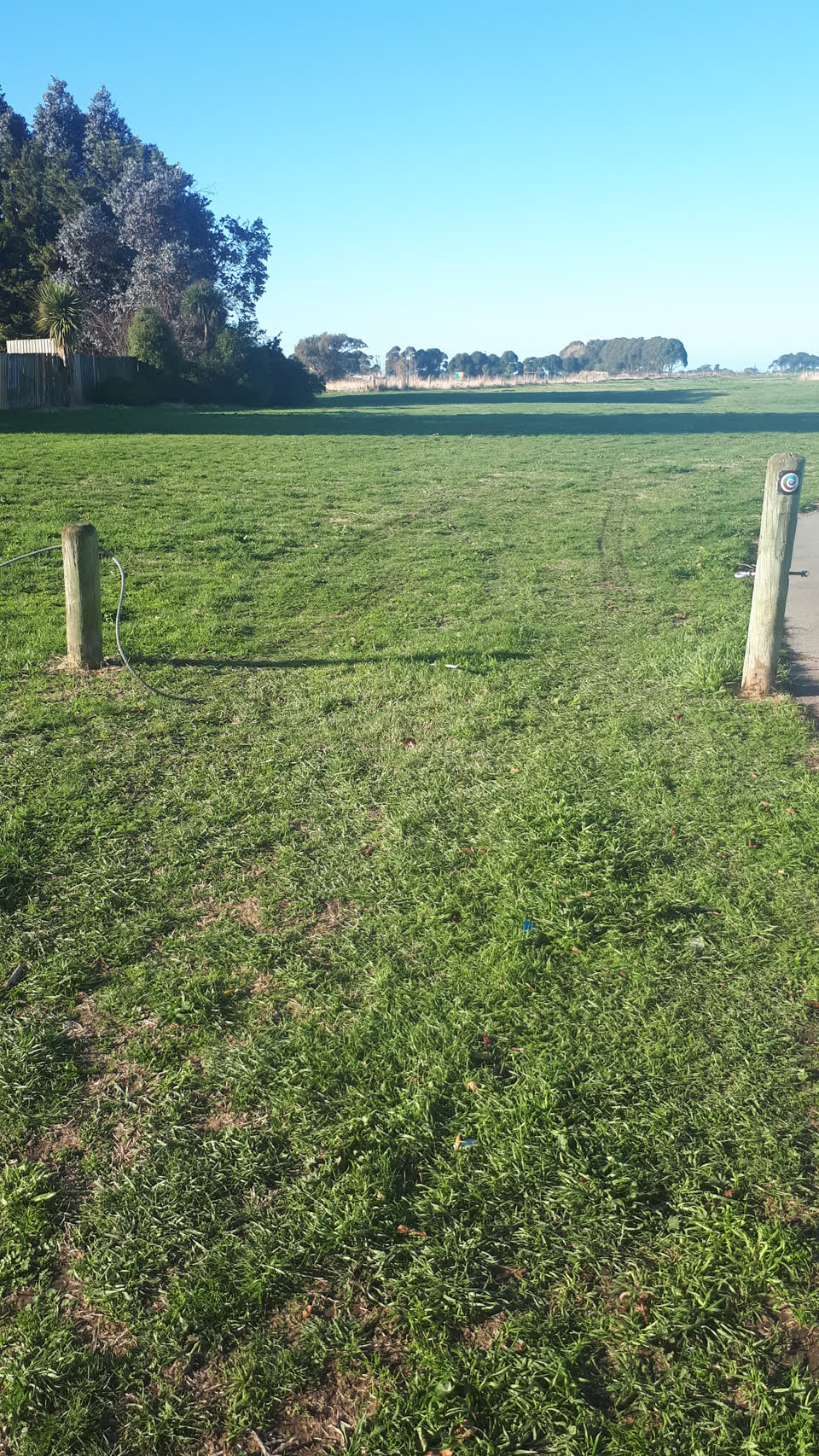 The photograph attached to this parks report