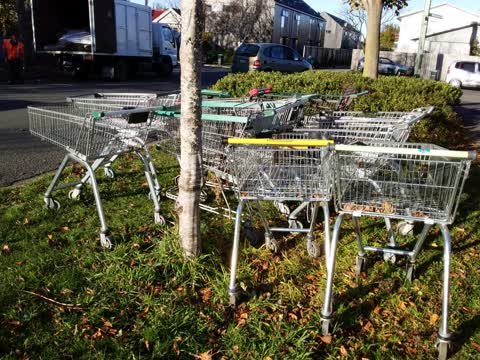 Rubbish/Recycling, a report photo