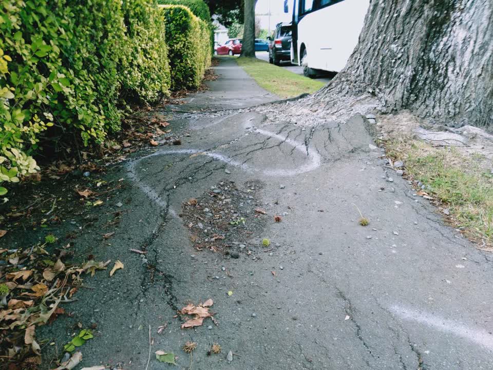 The photograph attached to this roading/streets report