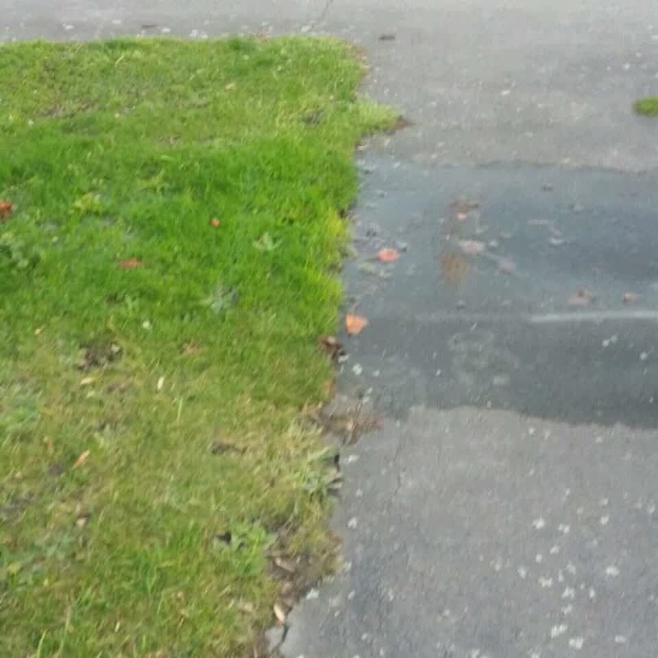 The photograph attached to this water supply report