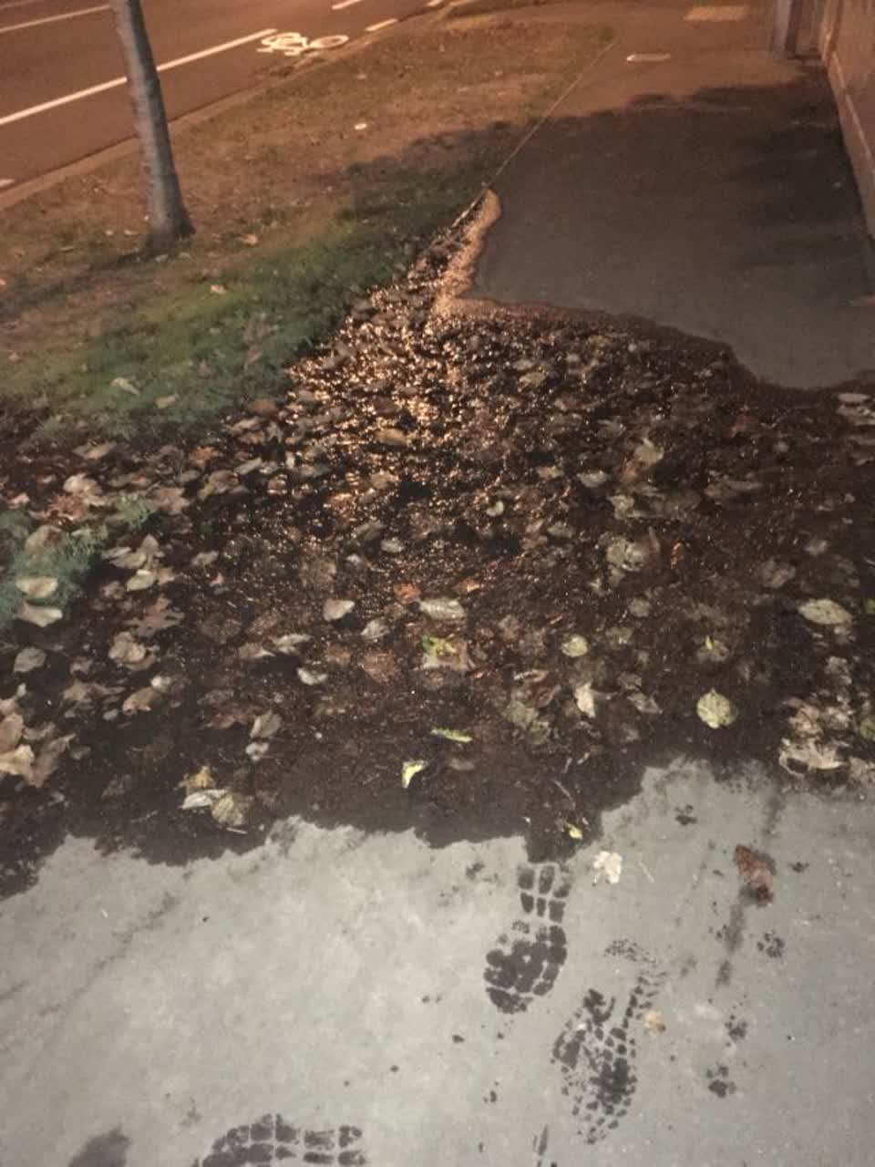 The photograph attached to this water supply report