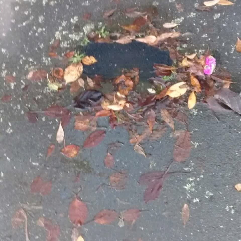 The photograph attached to this water supply report