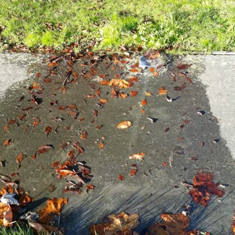 Water Supply, a report photo