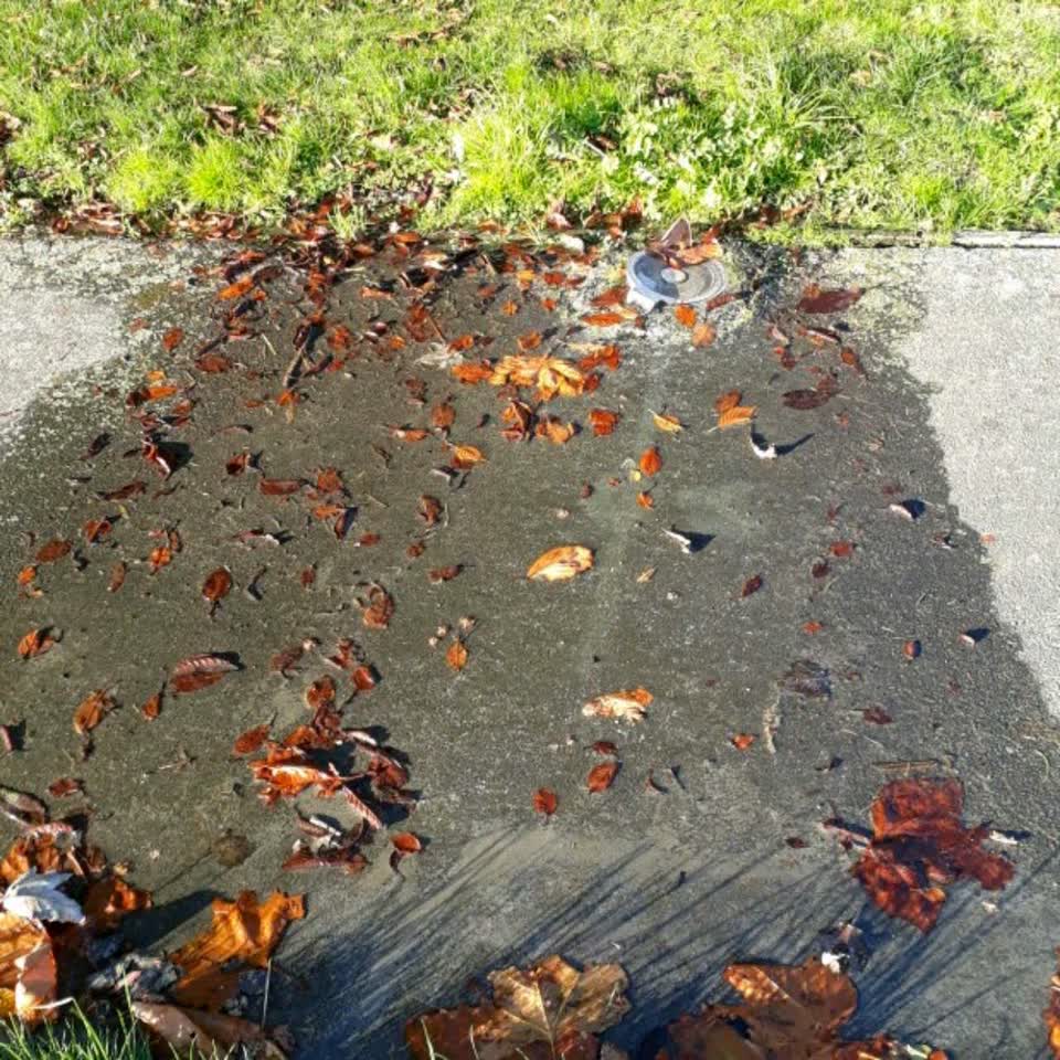 The photograph attached to this water supply report