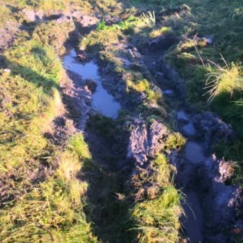 Flooding, a report photo