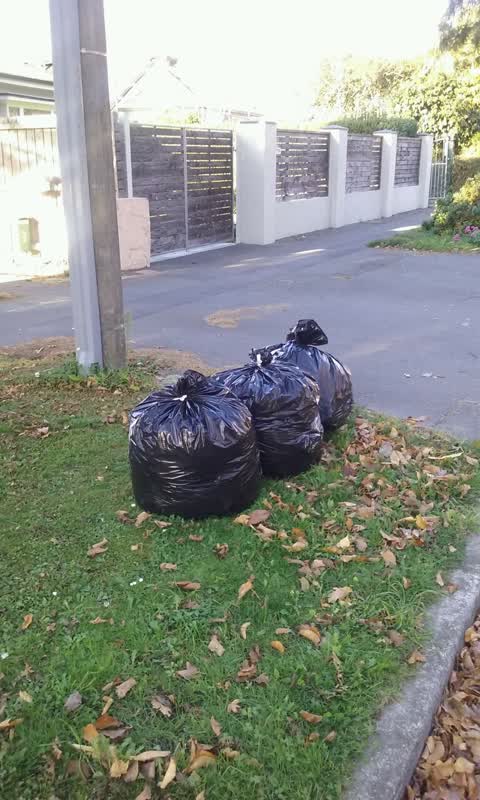 Rubbish/Recycling, a report photo