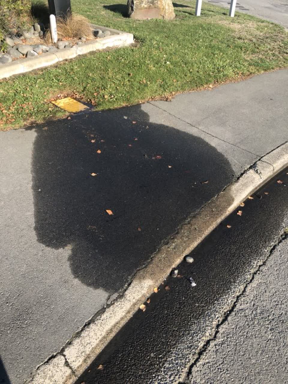 The photograph attached to this water supply report