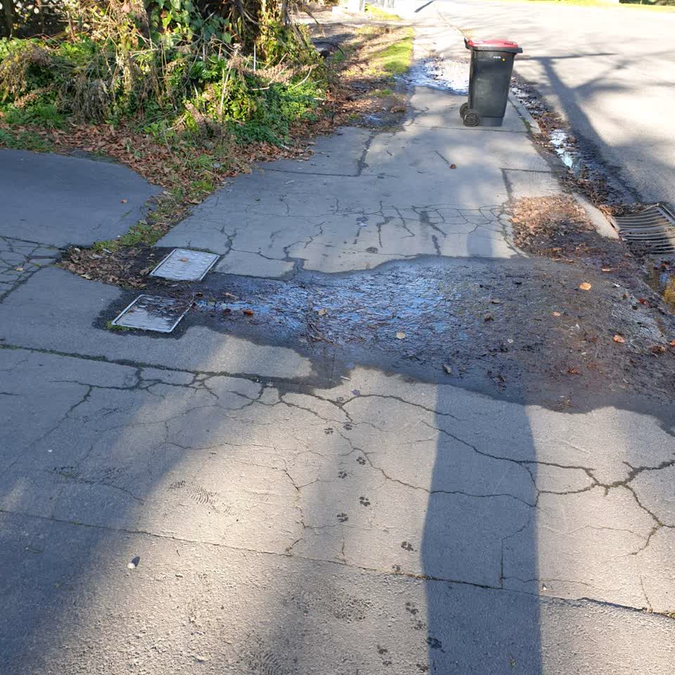 The photograph attached to this water supply report