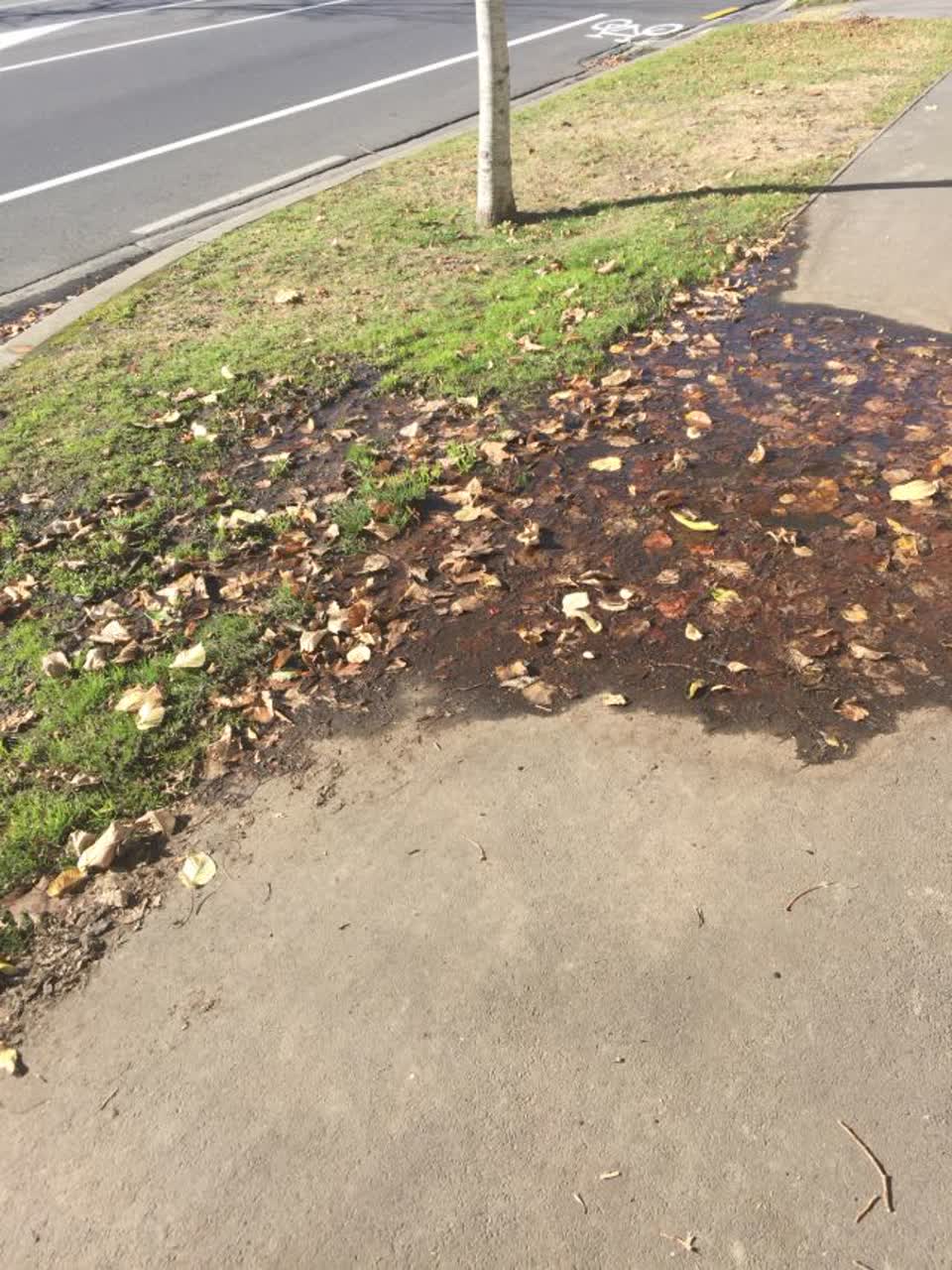 The photograph attached to this water supply report