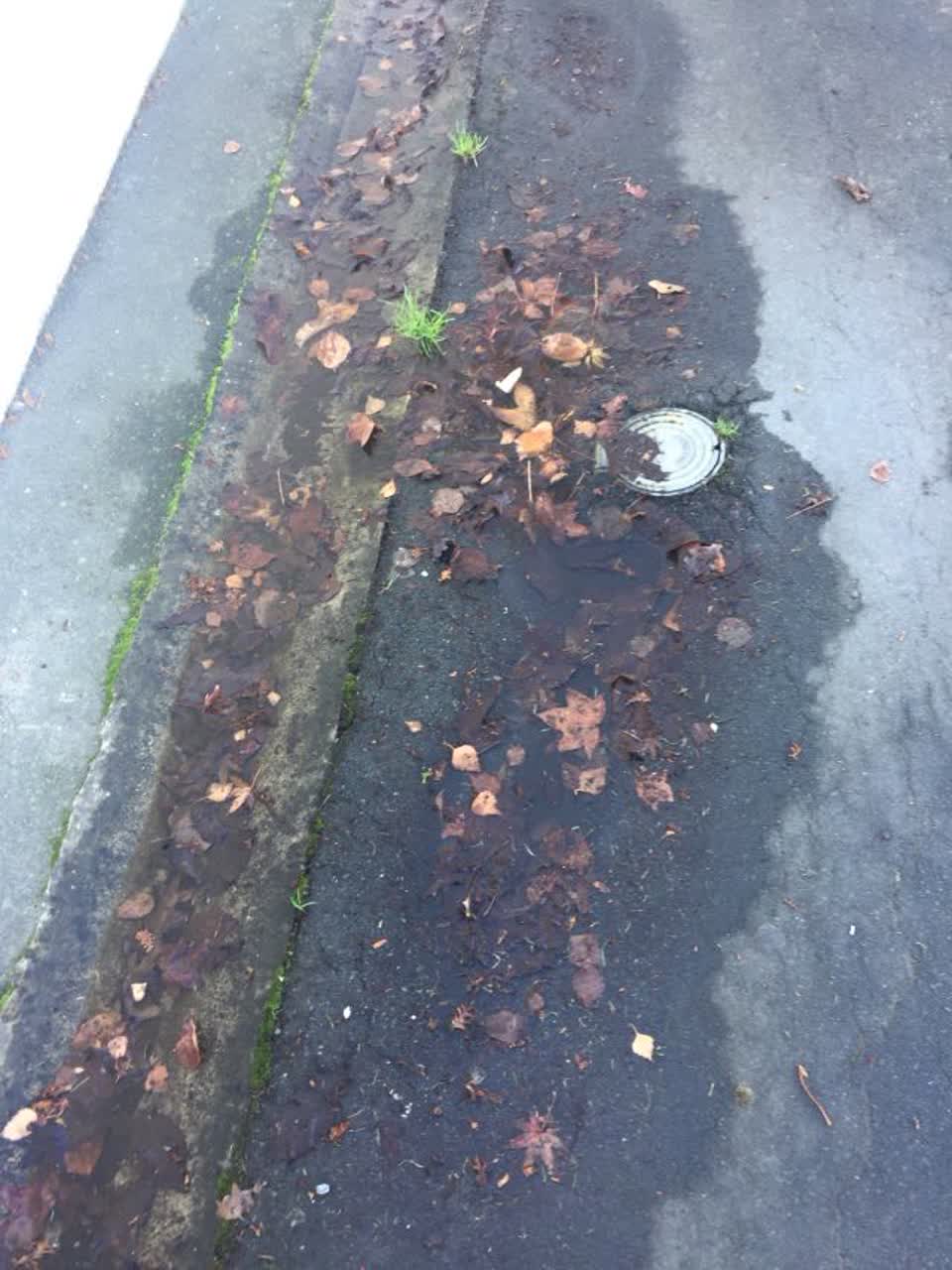 The photograph attached to this water supply report