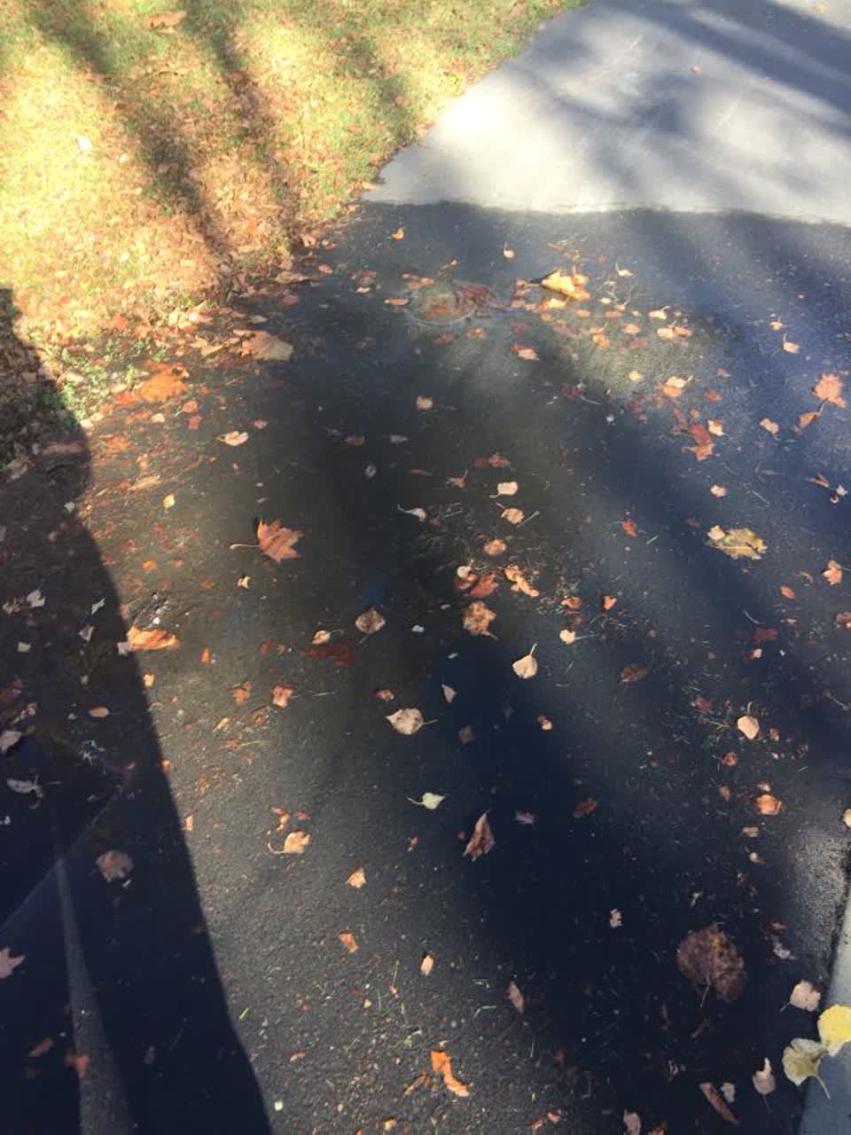 The photograph attached to this water supply report