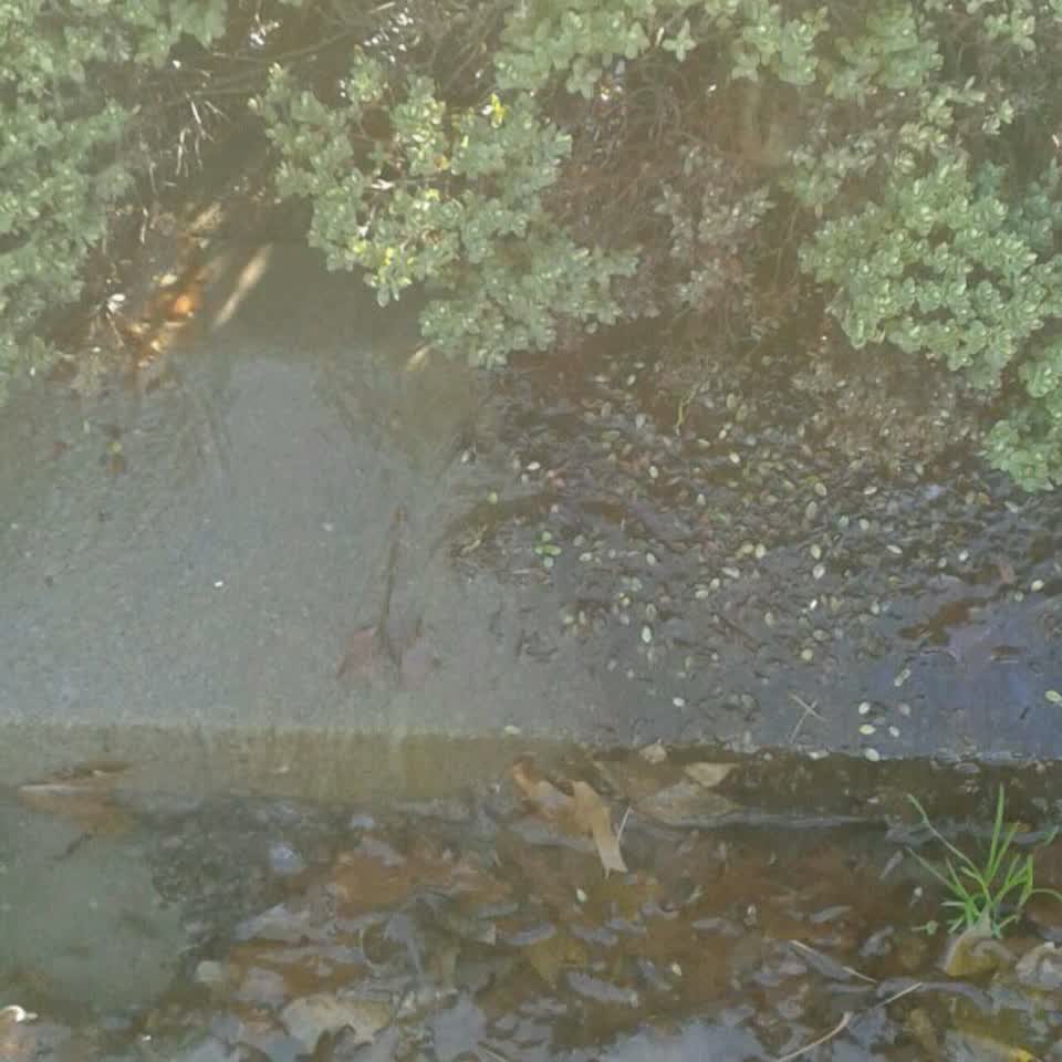 The photograph attached to this flooding report