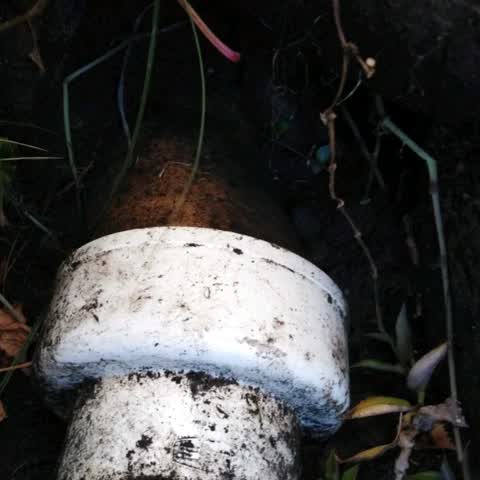 Wastewater/Stormwater, a report photo