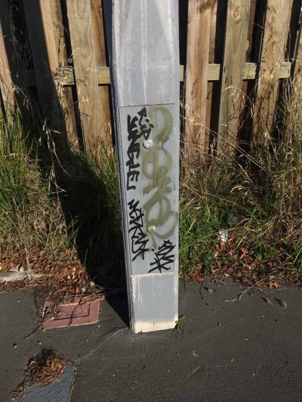 The photograph attached to this graffiti report