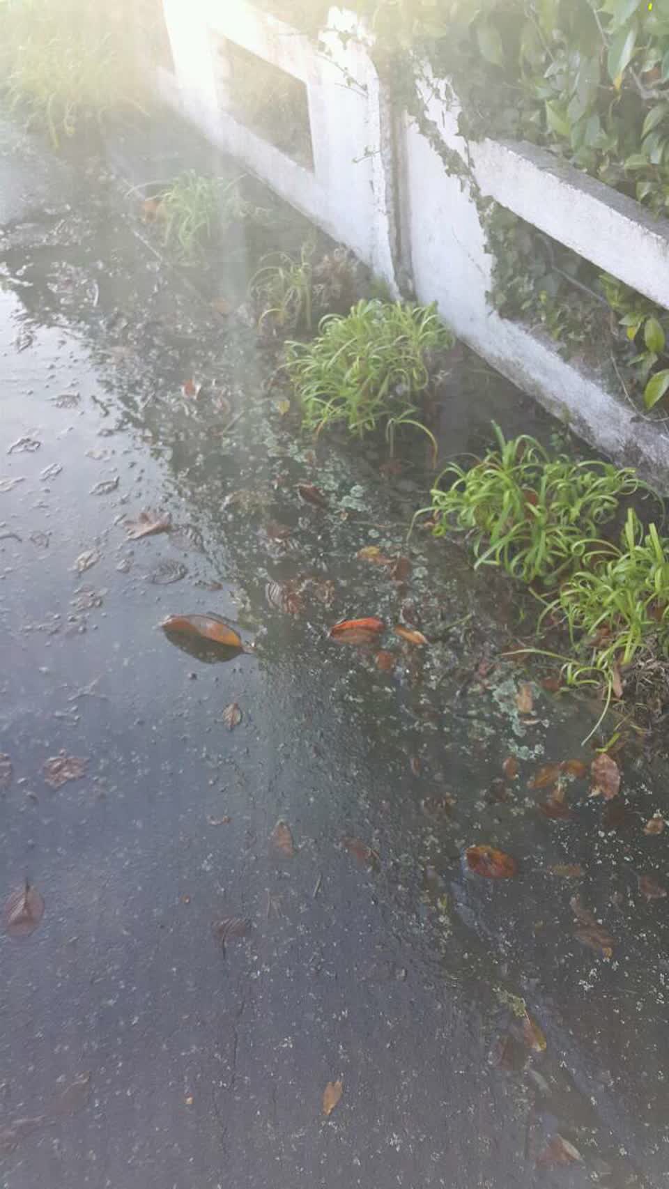 The photograph attached to this water supply report