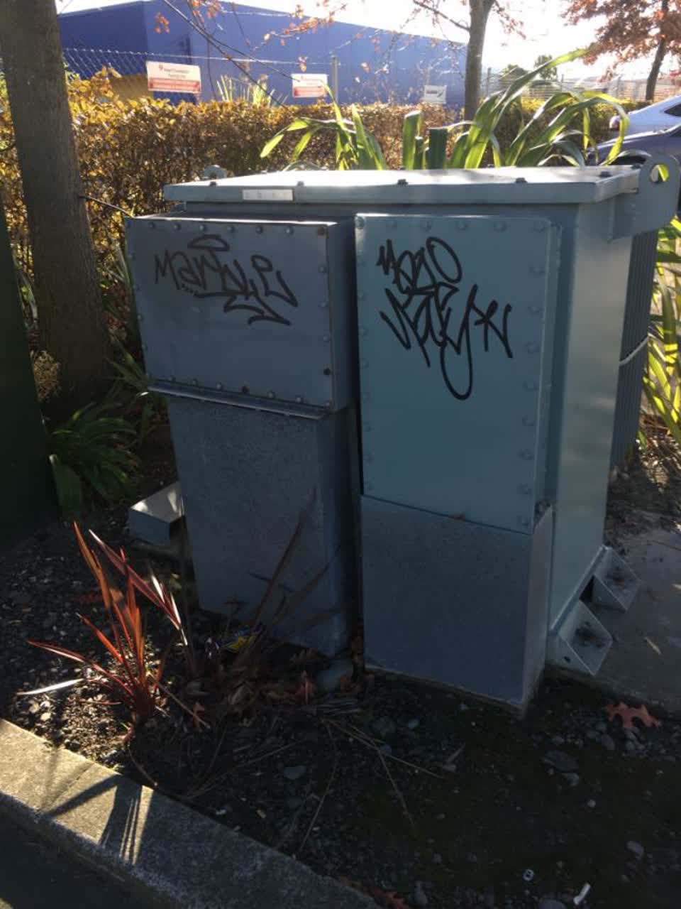 The photograph attached to this graffiti report