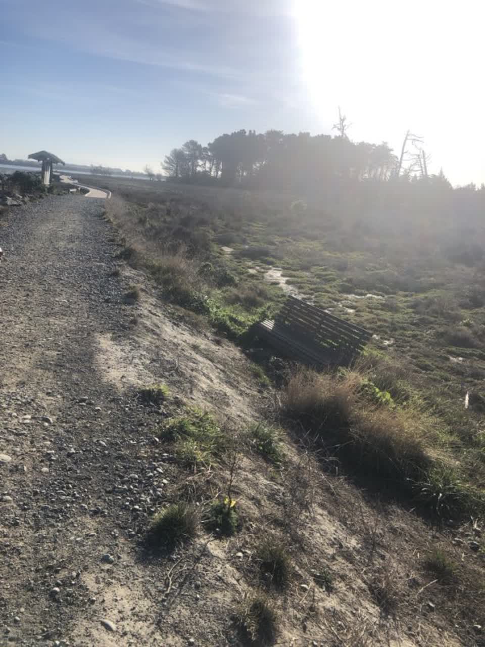 The photograph attached to this parks report