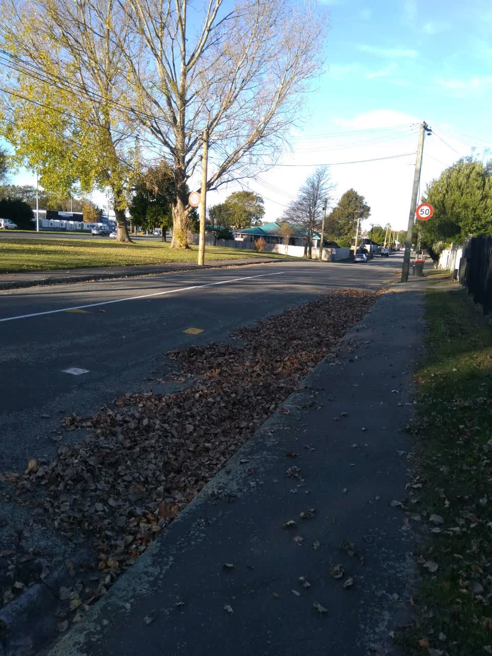 The photograph attached to this roading/streets report