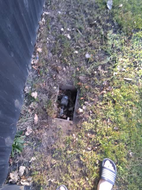 Water Supply, a report photo