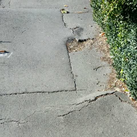 Roading/Streets, a report photo