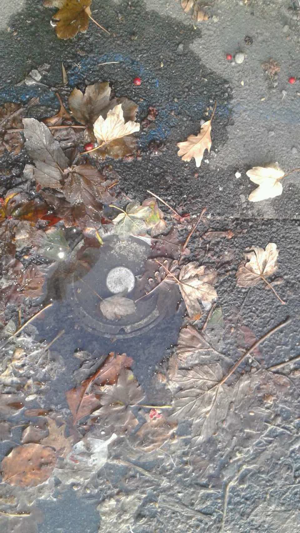 The photograph attached to this water supply report