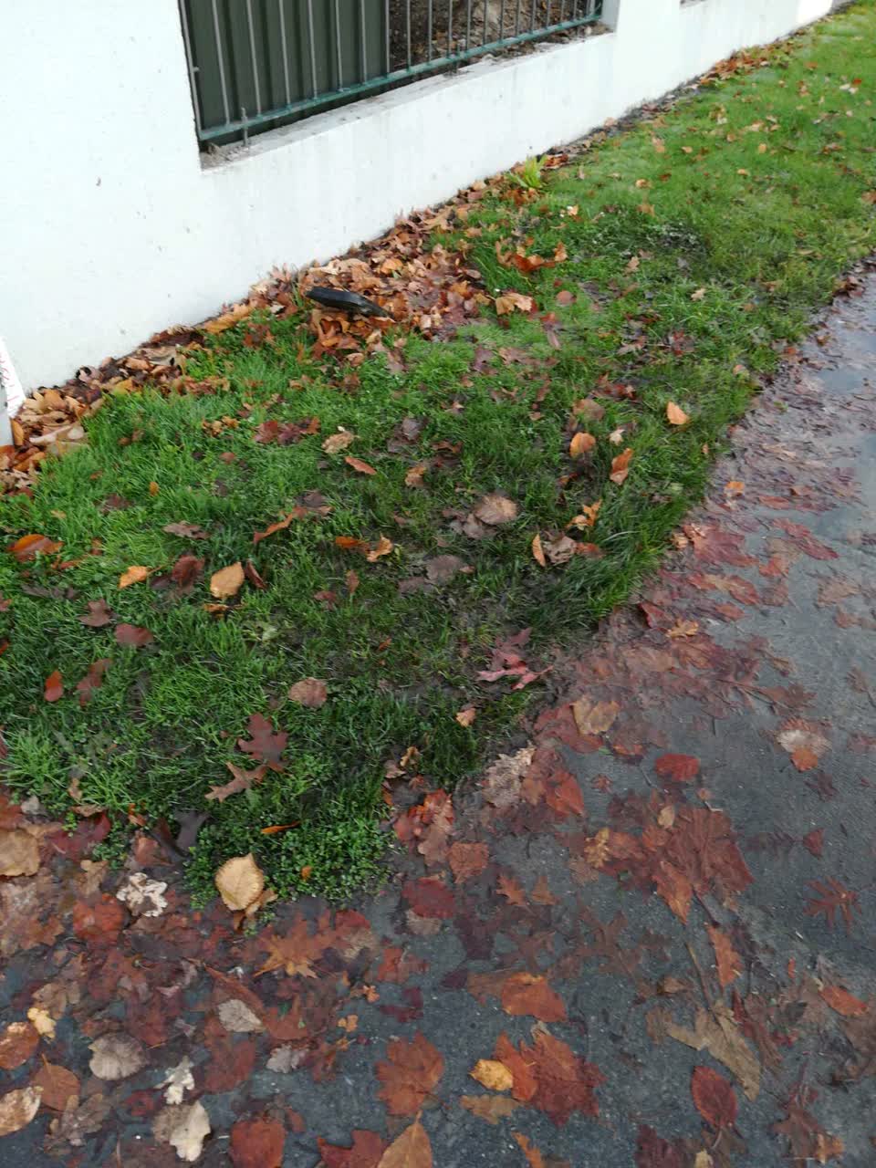 The photograph attached to this water supply report