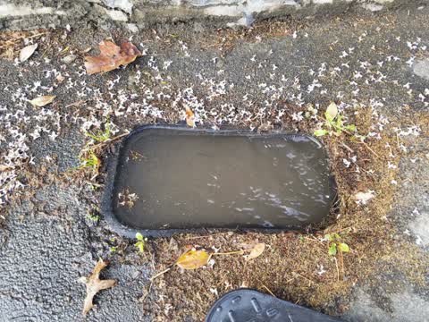 Water Supply, a report photo